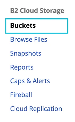 This is the alt tag?